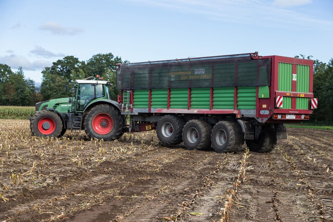 Bild 174 - Maisernte